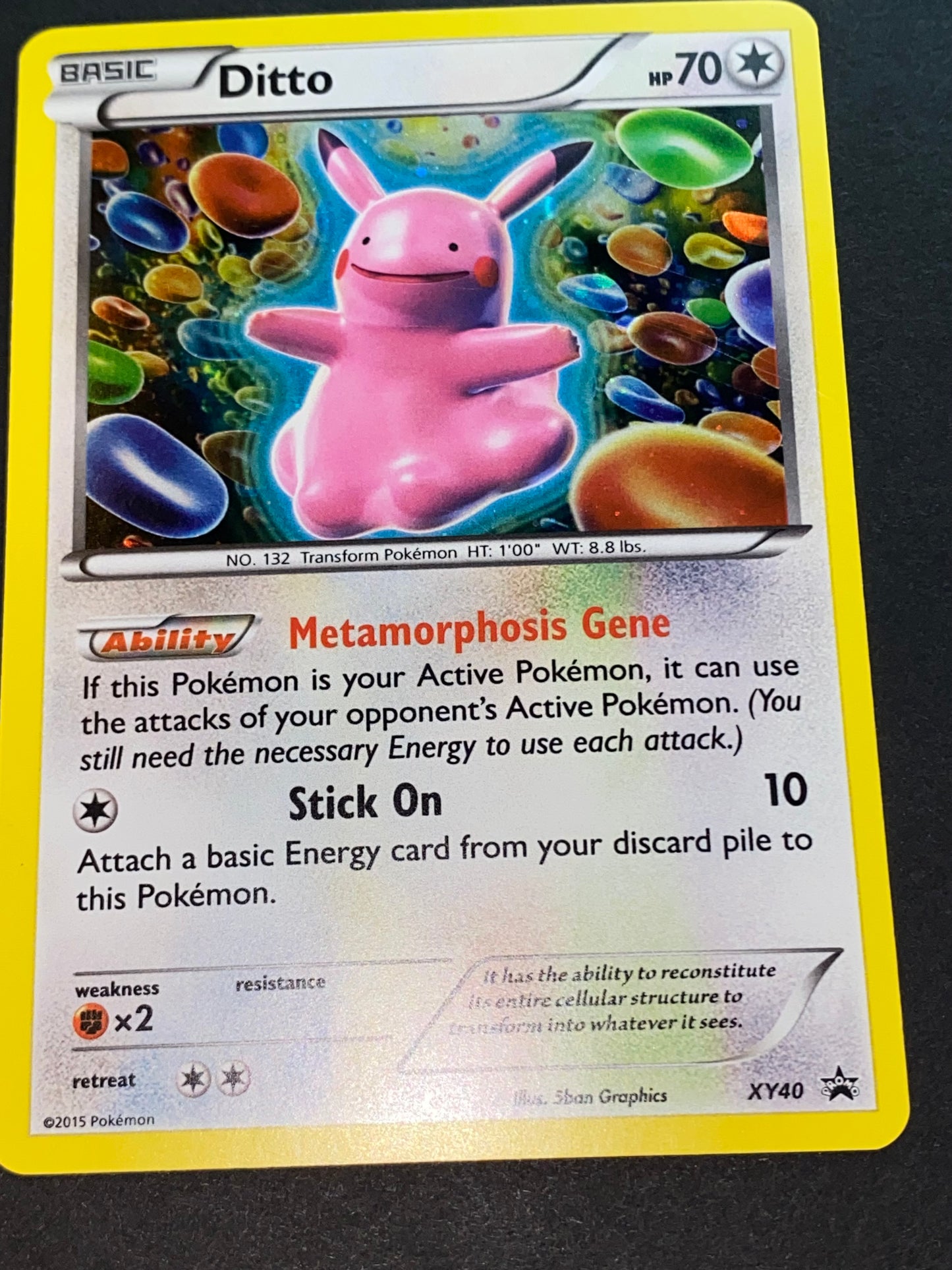 Ditto