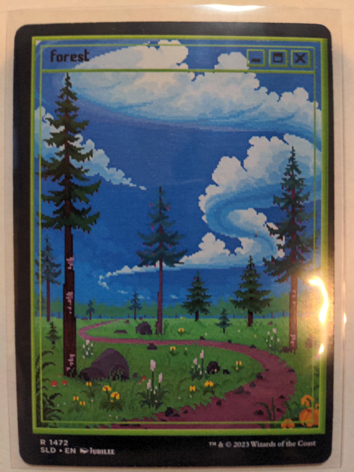 Forest