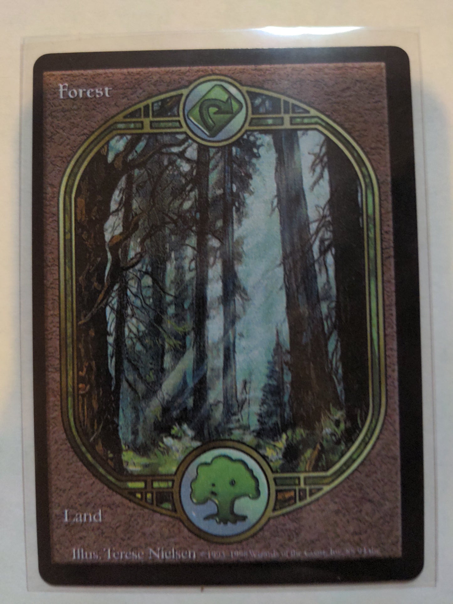Forest