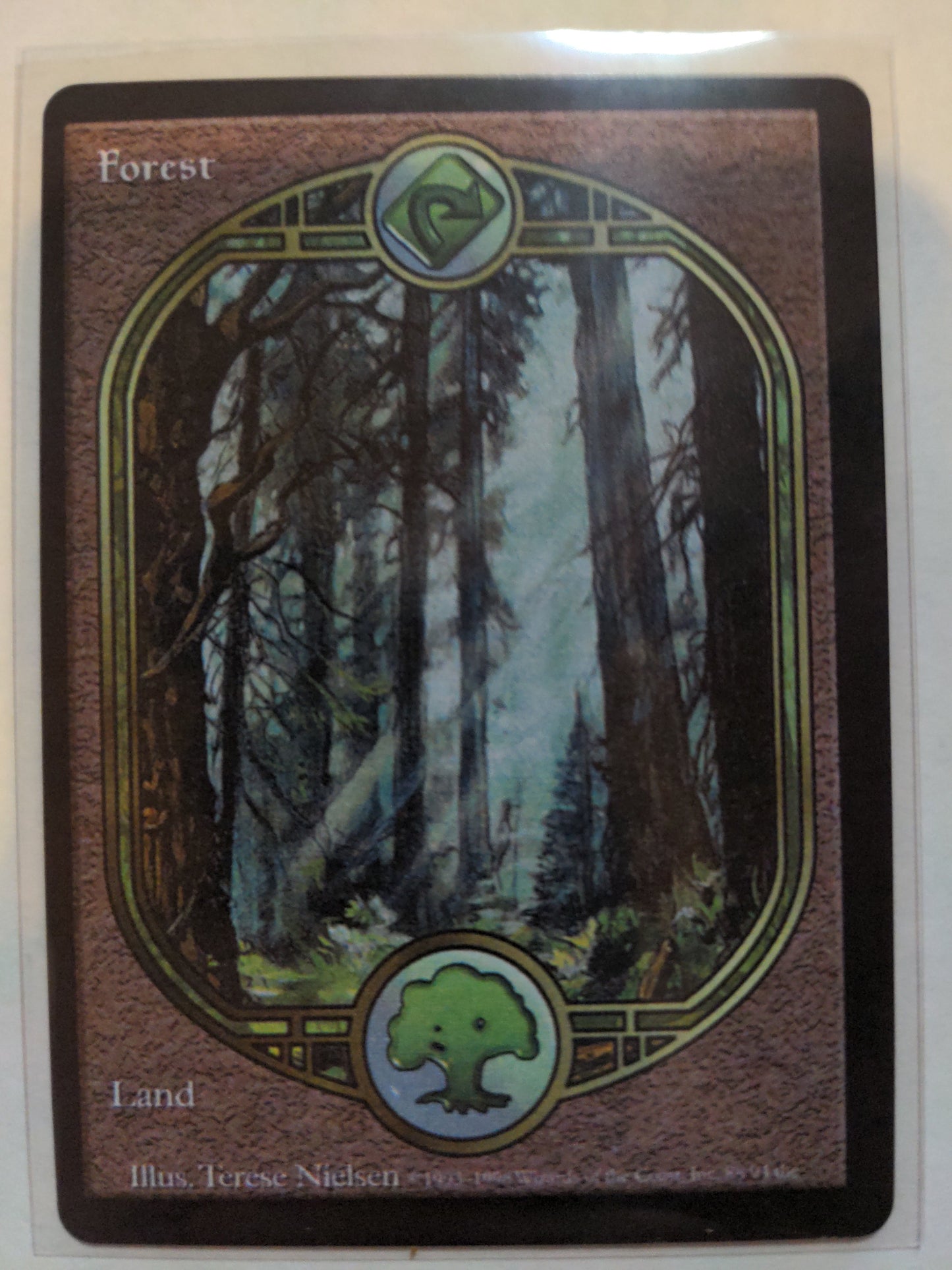 Forest