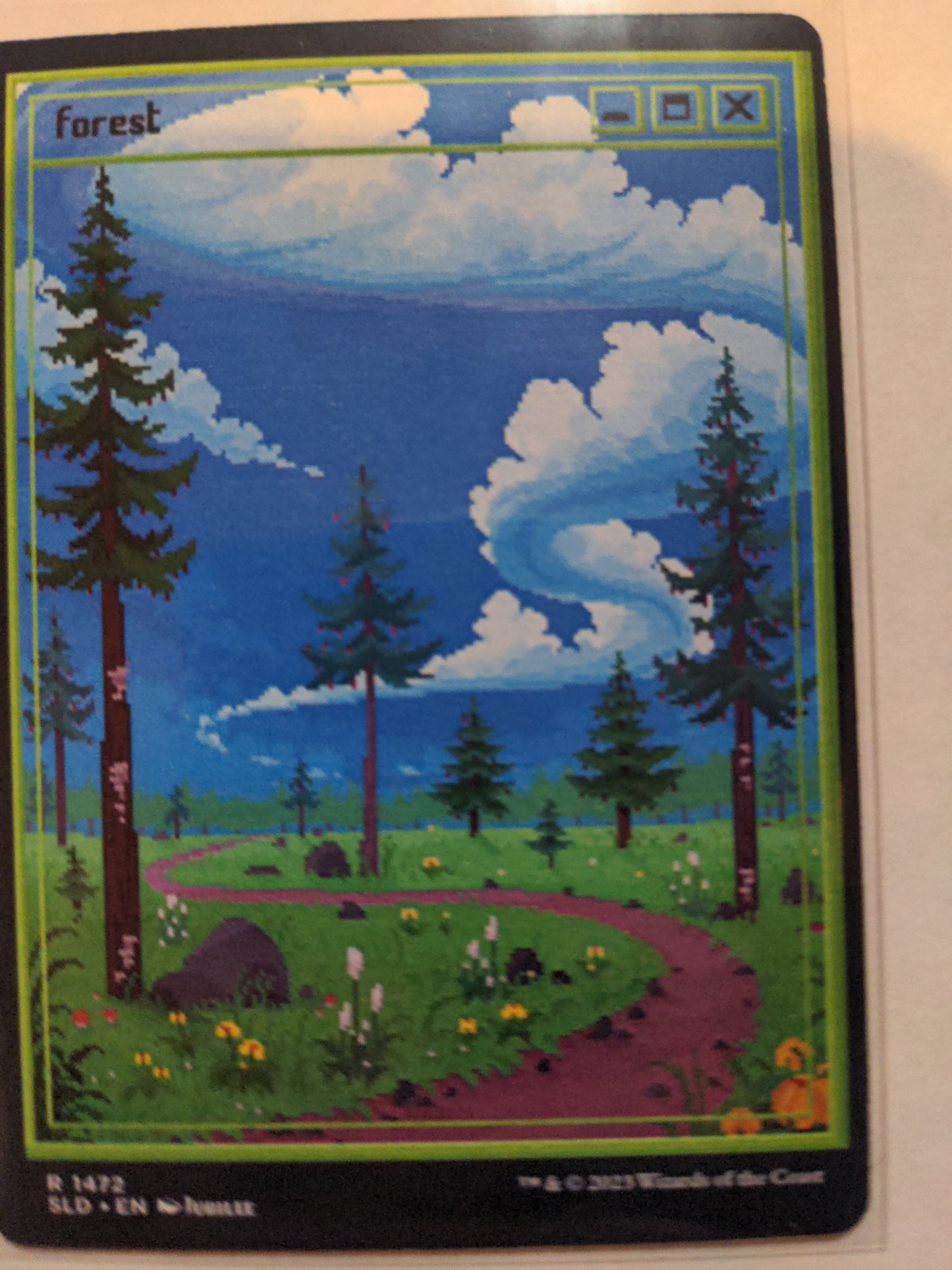 Forest