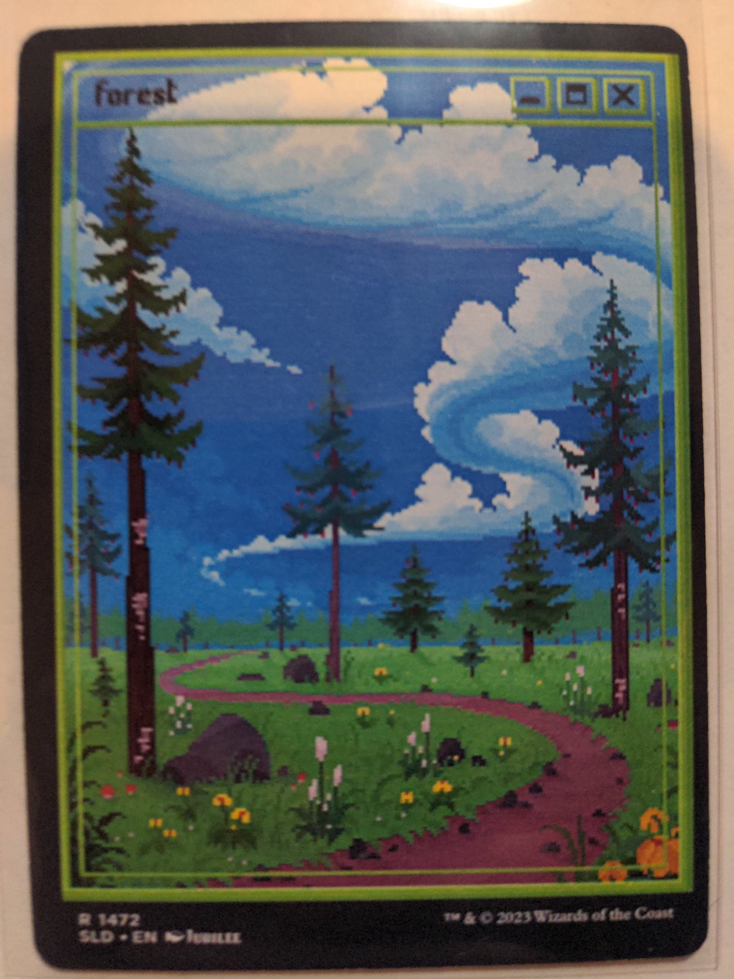 Forest