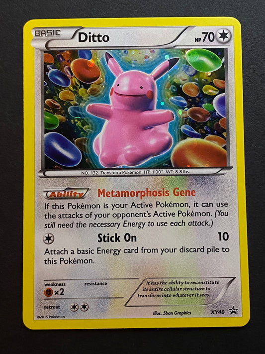 Ditto