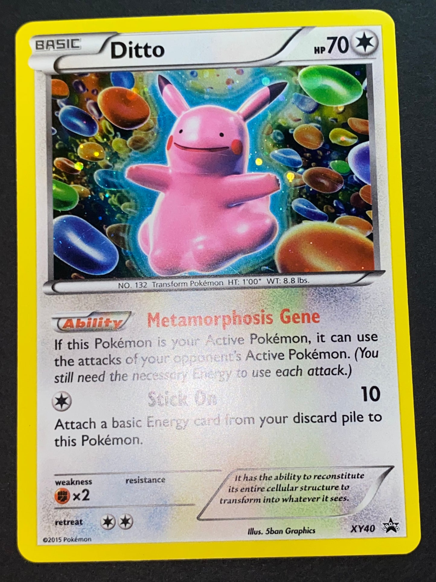Ditto