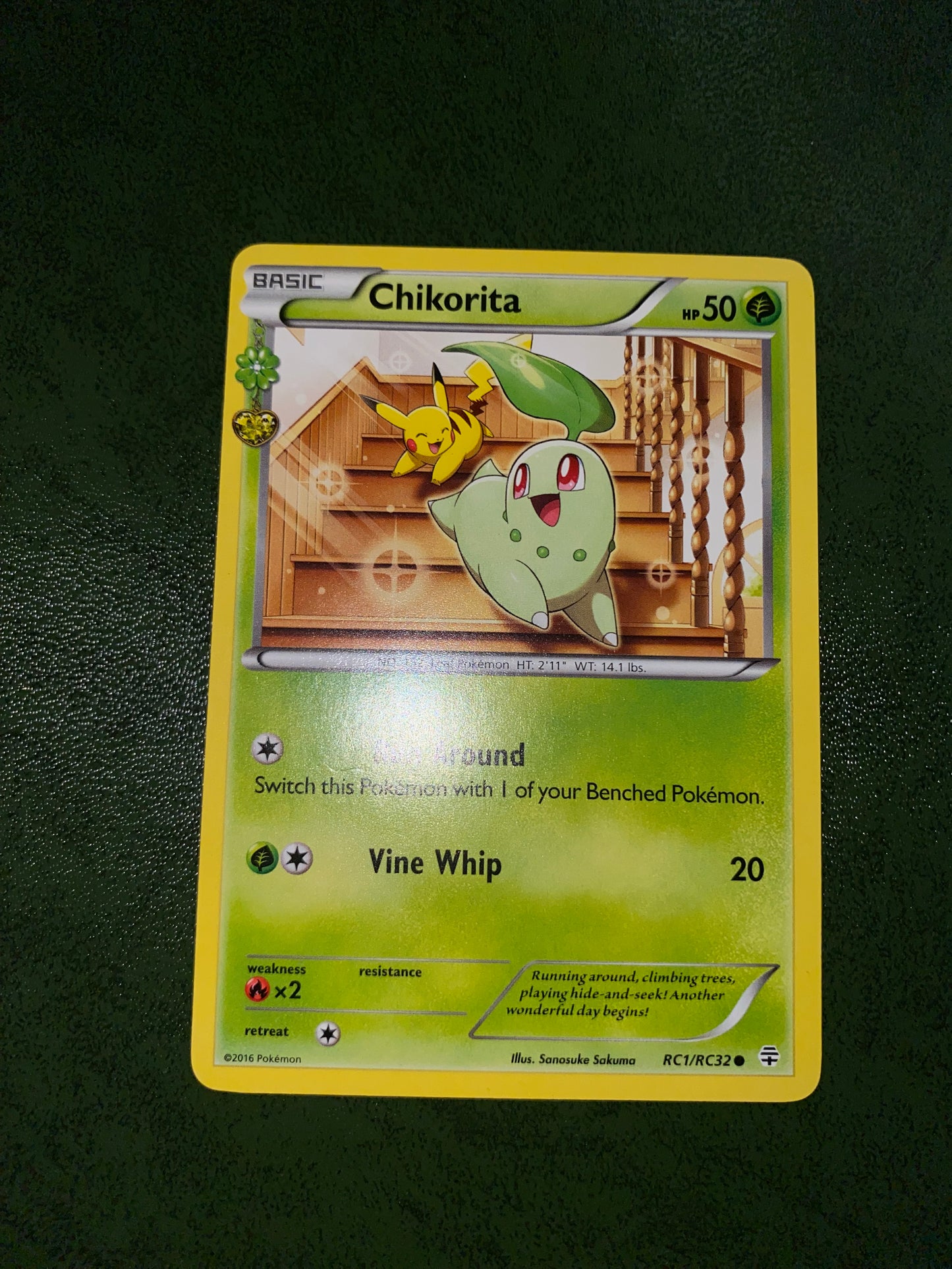 Chikorita