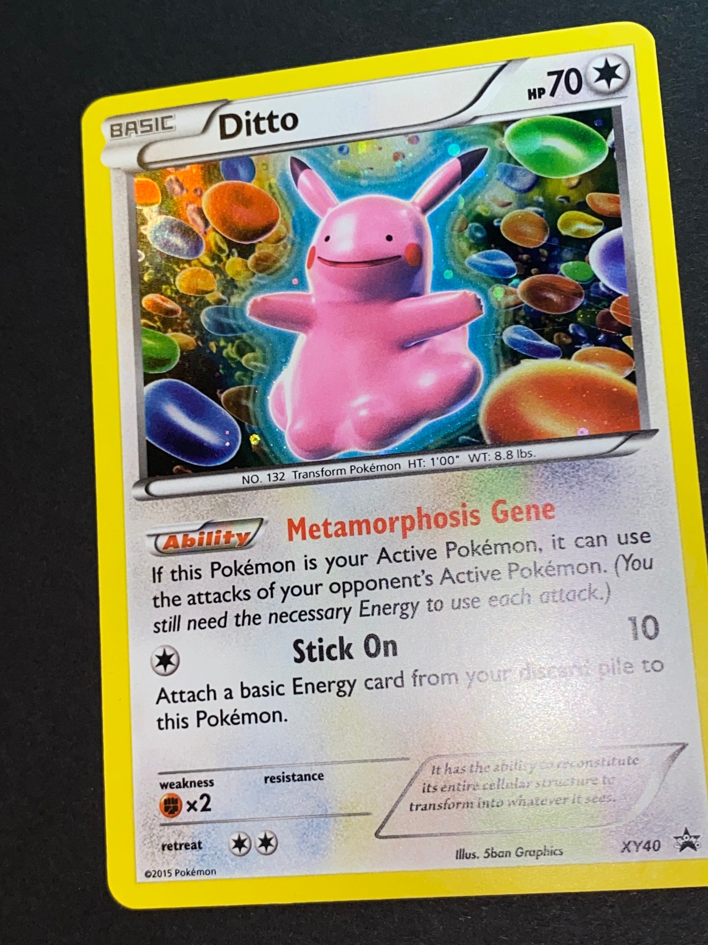 Ditto