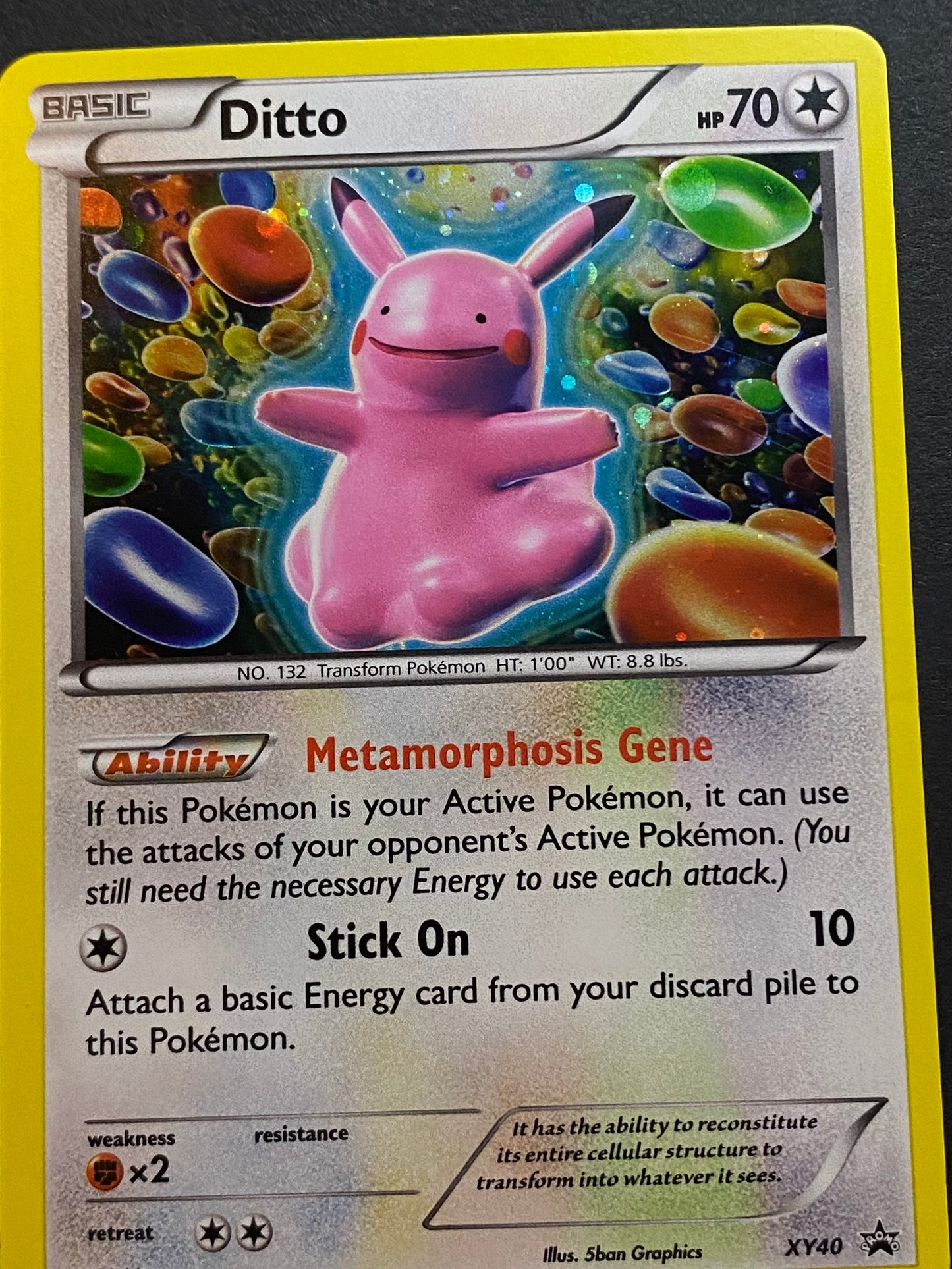 Ditto