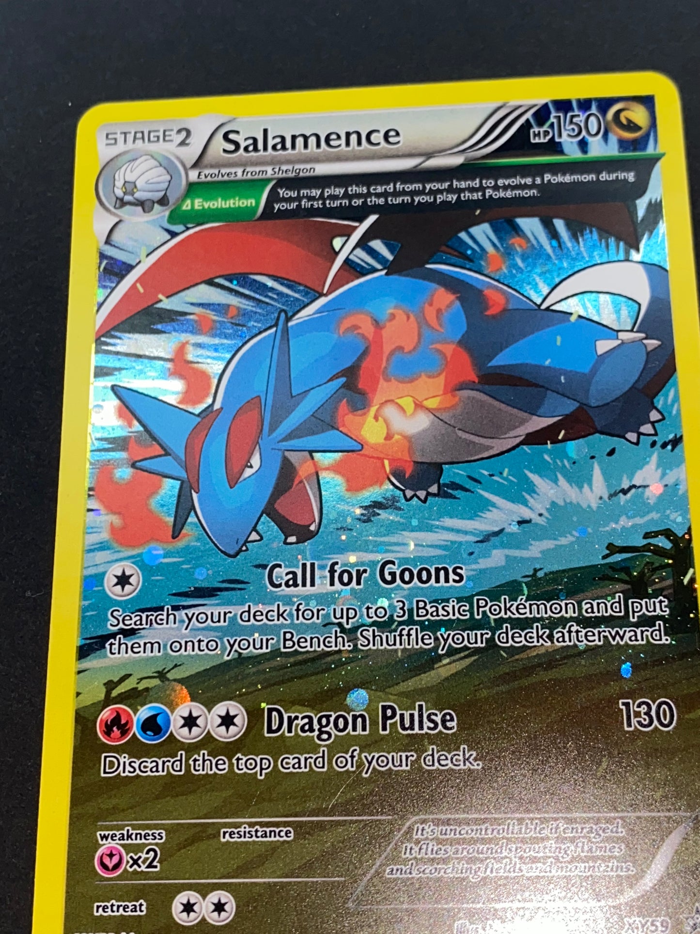 Salamence