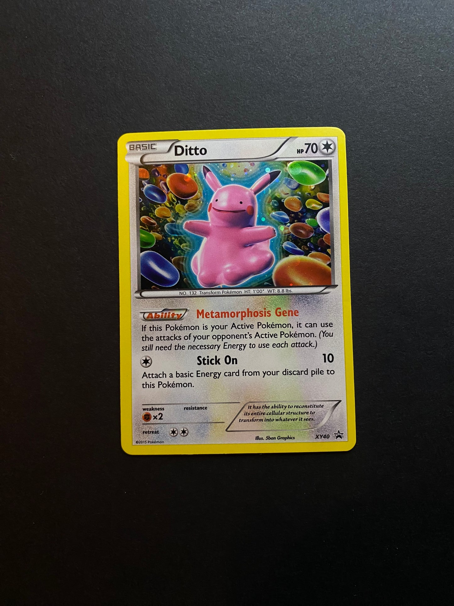 Ditto