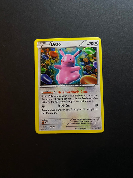 Ditto