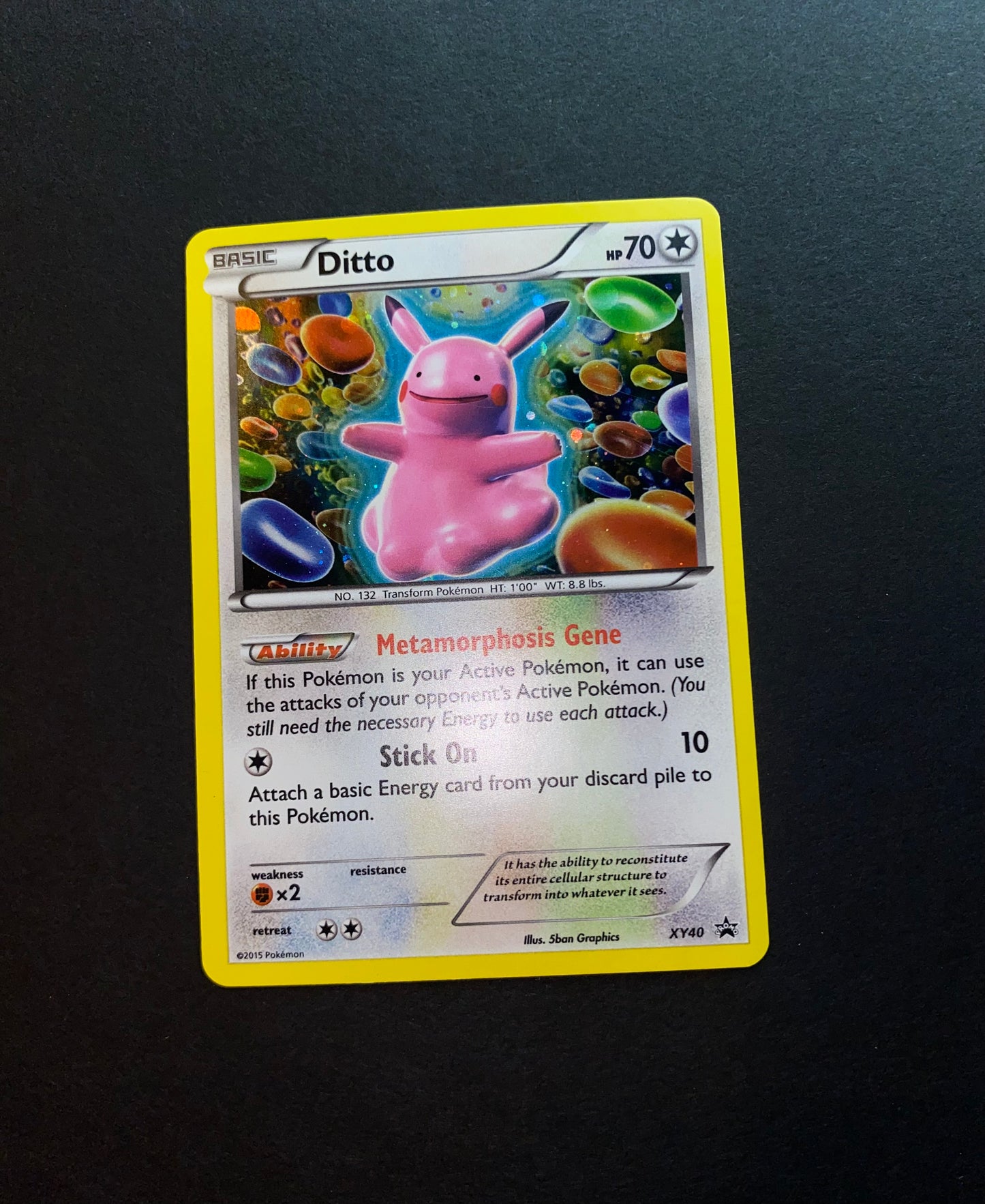 Ditto