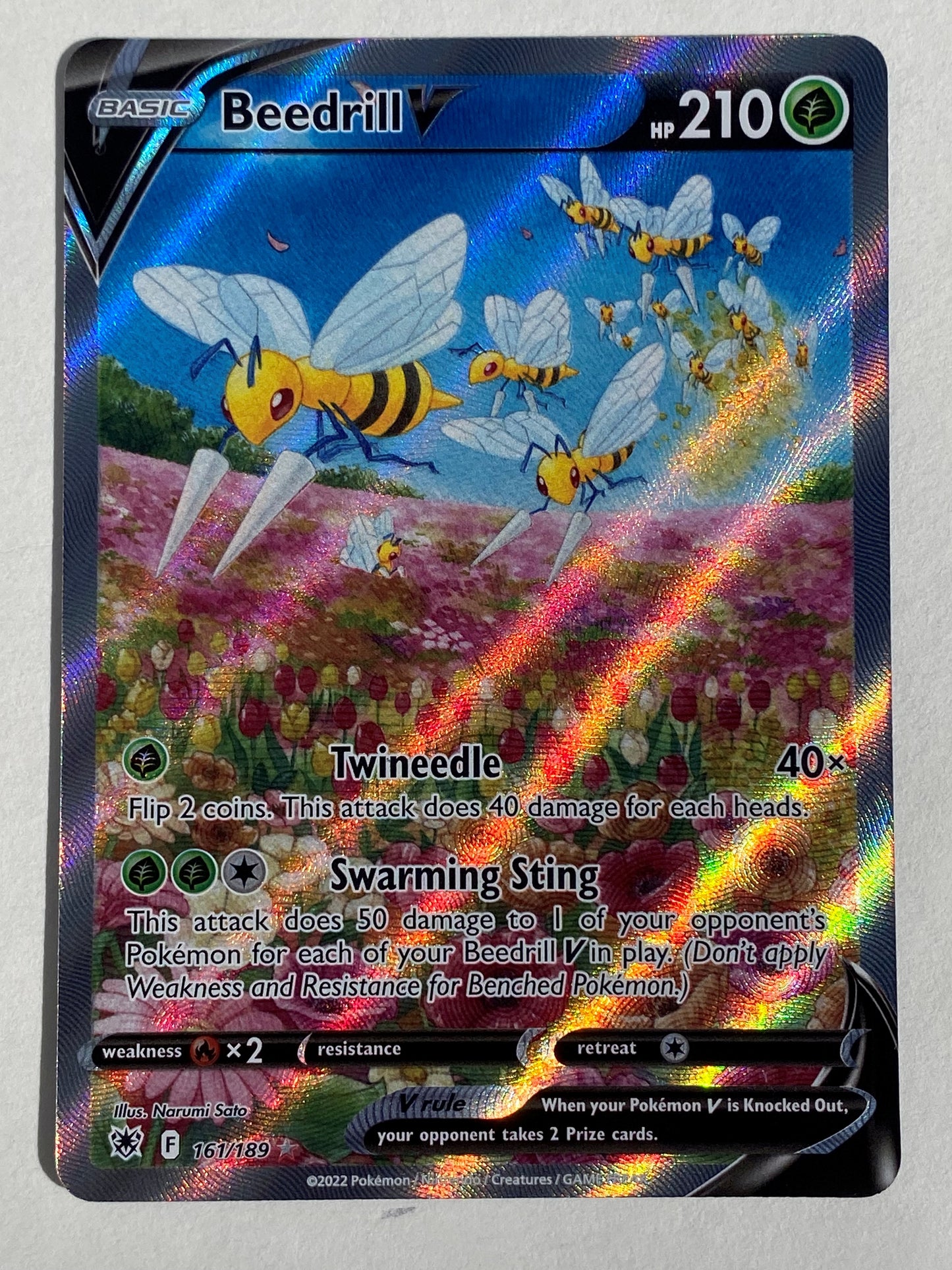 Beedrill V