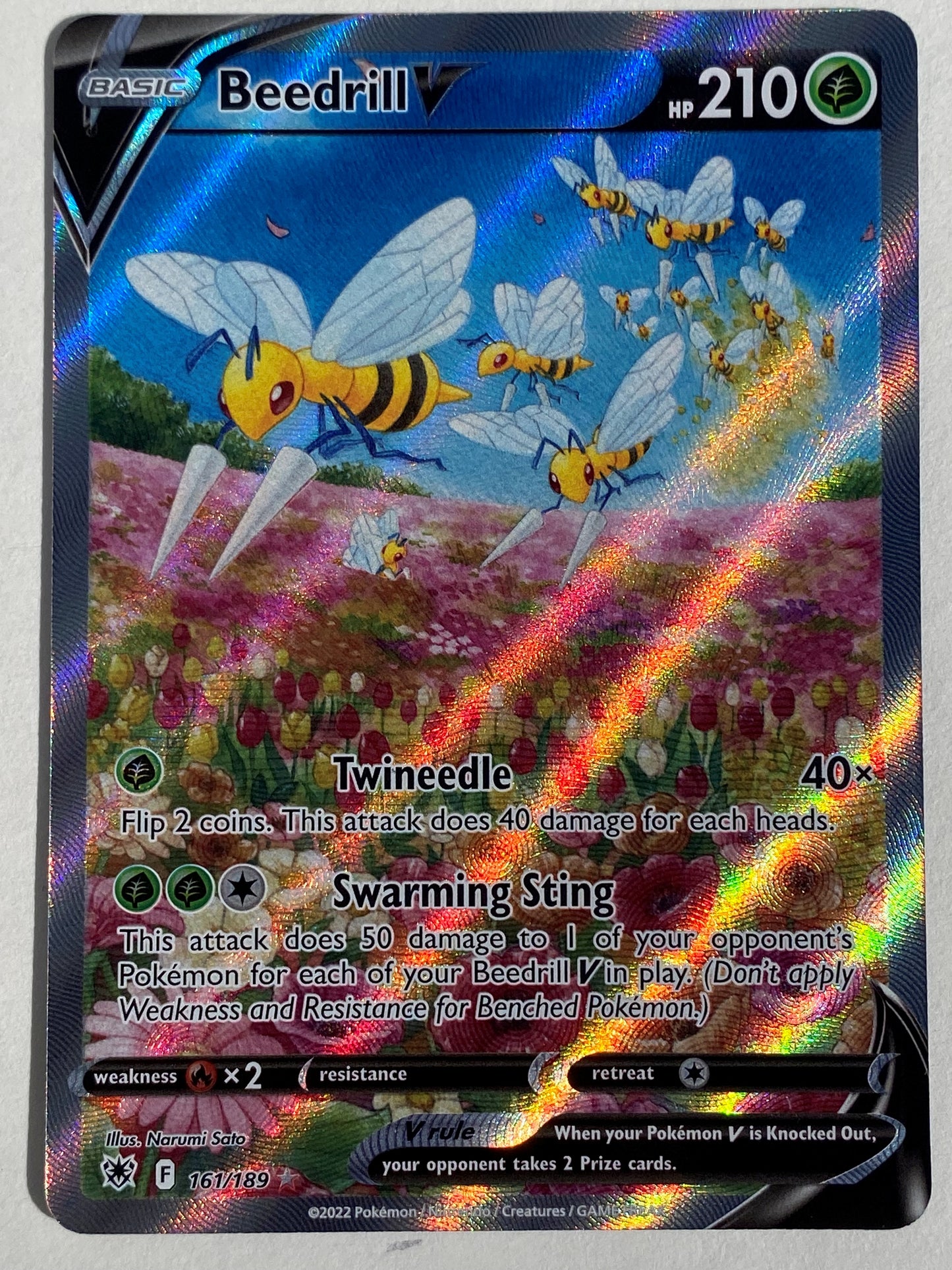 Beedrill V