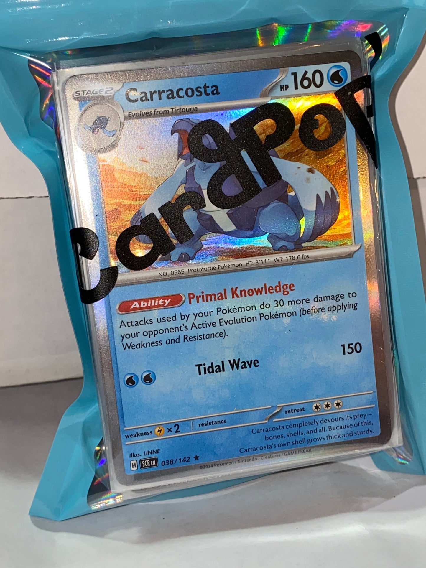 Pokémon: Booster Bundle Bulk Lot Repack - English Only - Rares, Foils, Holofoils 60 Cards